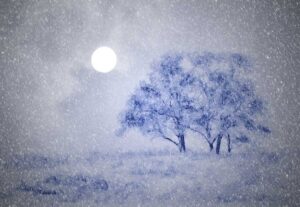 winter-safety-tips