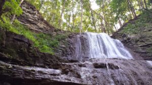 businesses in hamilton ontario