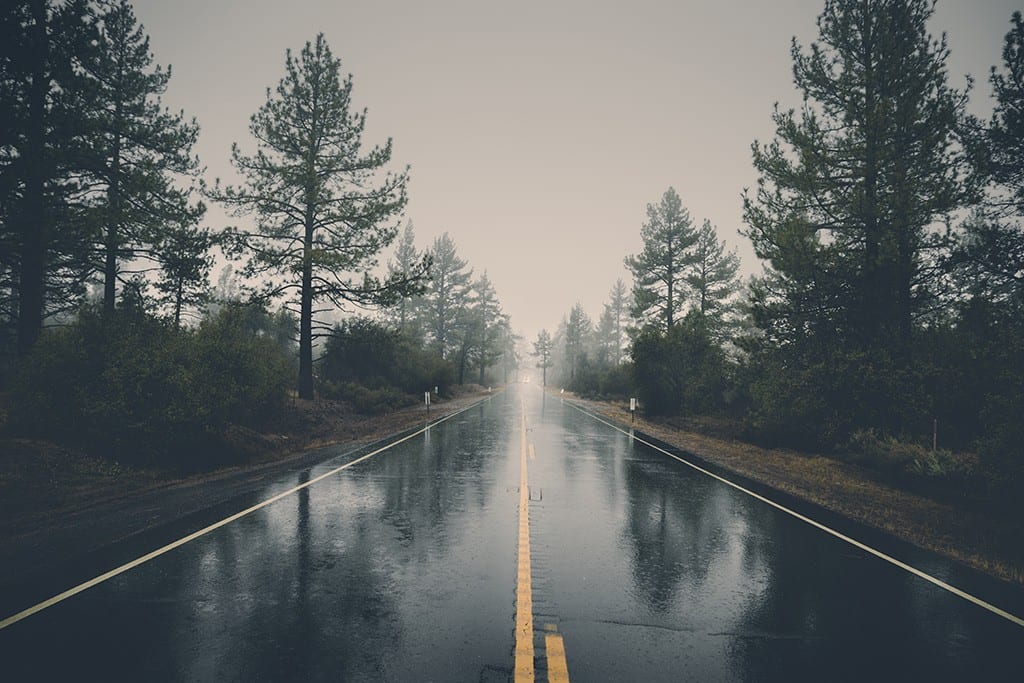 renew progressive auto insurance policy