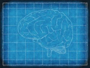 traumatic brain injury recovery