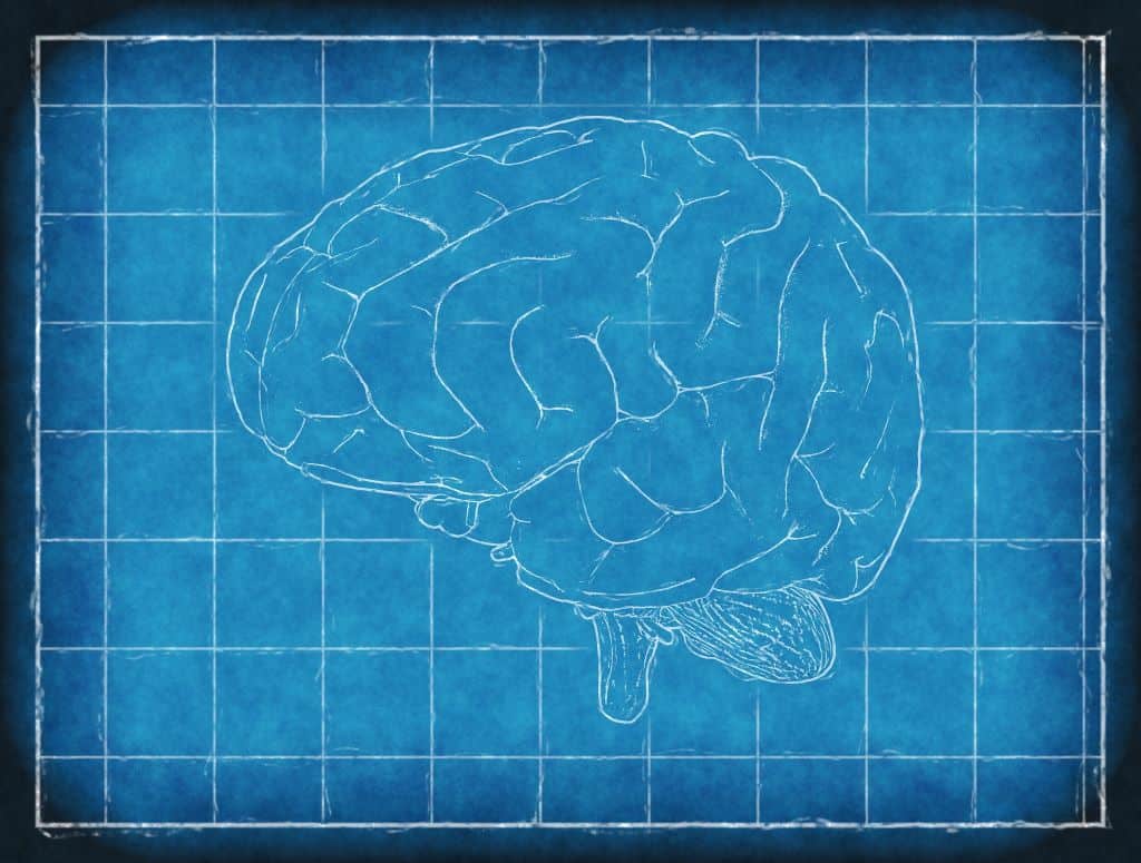 traumatic brain injury recovery